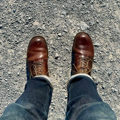 Viberg Service Boot in C.F. Stead Whiskey Phoenix