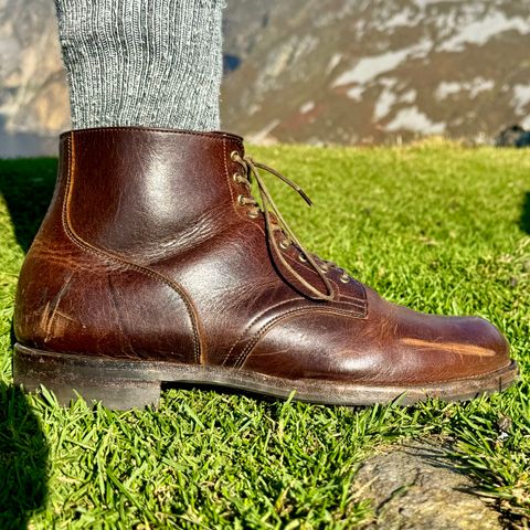 Viberg Service Boot in C.F. Stead Whiskey Phoenix