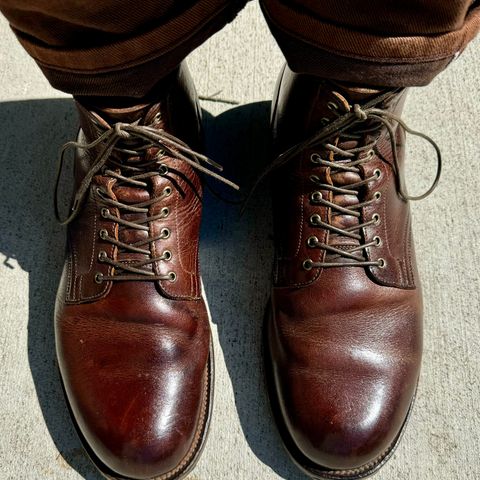 View photo of Viberg Service Boot in C.F. Stead Whiskey Phoenix