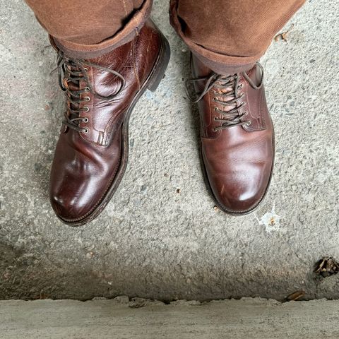 View photo of Viberg Service Boot in C.F. Stead Whiskey Phoenix