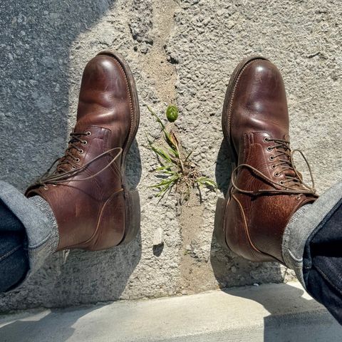 Viberg Service Boot in C.F. Stead Whiskey Phoenix