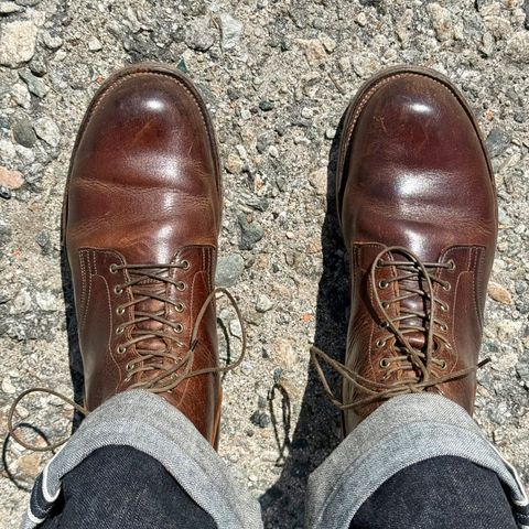 Viberg Service Boot in C.F. Stead Whiskey Phoenix