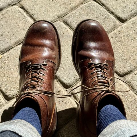 Viberg Service Boot in C.F. Stead Whiskey Phoenix