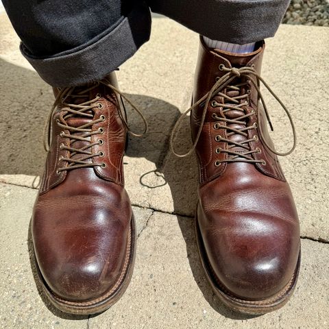 Viberg Service Boot in C.F. Stead Whiskey Phoenix
