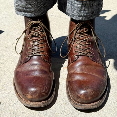 Viberg Service Boot in C.F. Stead Whiskey Phoenix