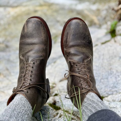 Viberg Wholecut Derby Boot in C.F. Stead Stone Waxed Kudu