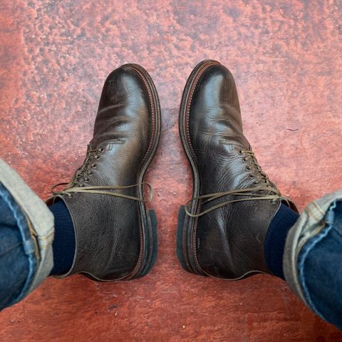 Viberg Wholecut Derby Boot in C.F. Stead Stone Waxed Kudu