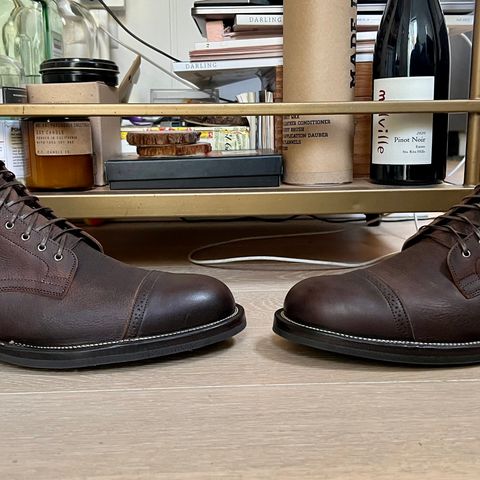 Viberg Service Boot in C.F. Stead Sap Waxed Kudu