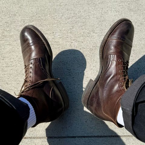 Viberg Service Boot in C.F. Stead Sap Waxed Kudu