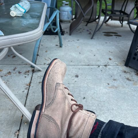 DIY Unknown Model in Roughout Treated Essex