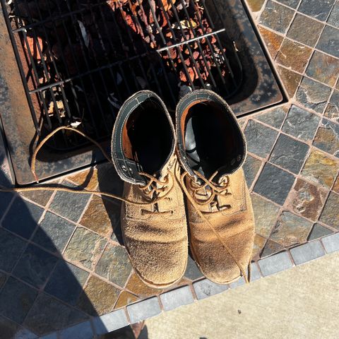 DIY Unknown Model in Roughout Treated Essex