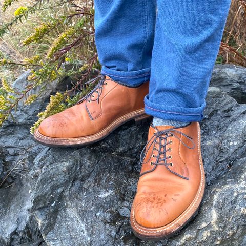 Tricker's Robert Plain Derby Shoe in Horween Natural Dublin