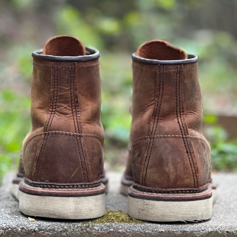 Red Wing 6-Inch Classic Moc in S.B. Foot Copper Rough and Tough