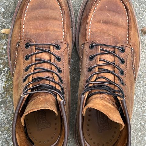 Red Wing 6-Inch Classic Moc in S.B. Foot Copper Rough and Tough