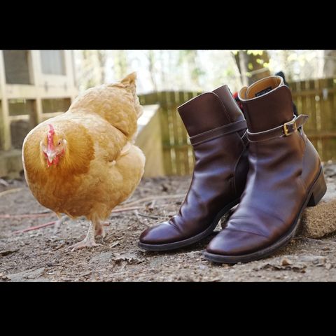 Clinch Jodhpur Boots in Brown French Calfskin