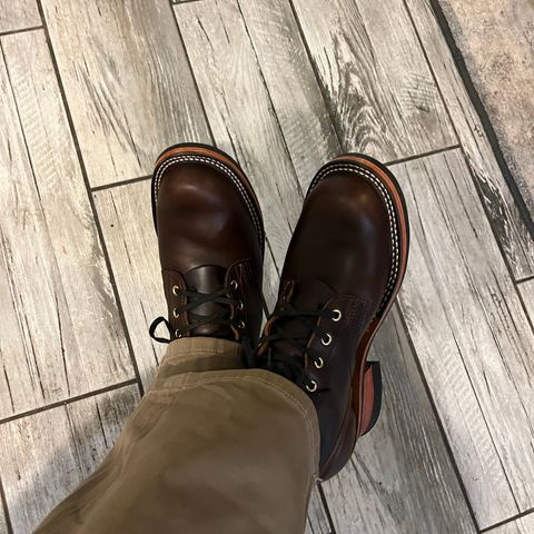 Nicks Robert in Horween Brown Chromexcel