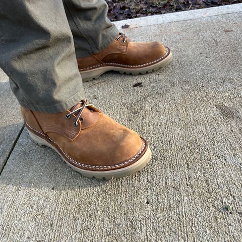 Nicks Turnbull in Seidel WeatherShield Brown