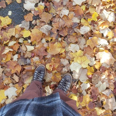 Viberg Pachena Bay in Unknown Leather
