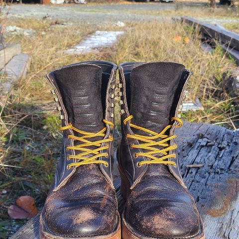 Fortis Custom DAKAR with Logger in Horween Java Waxed Flesh