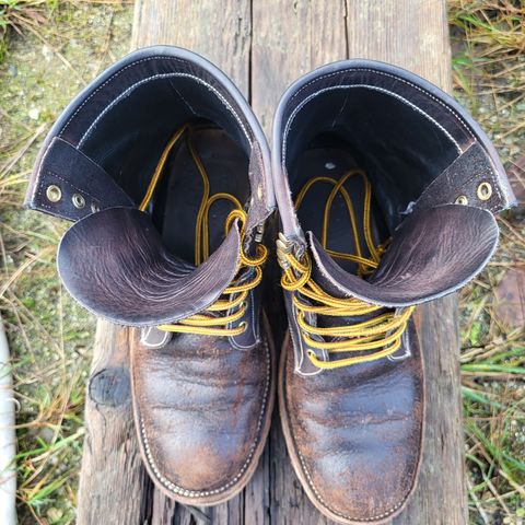 Fortis Custom DAKAR with Logger in Horween Java Waxed Flesh