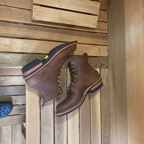 Nicks Robert in Seidel 1964 Brown
