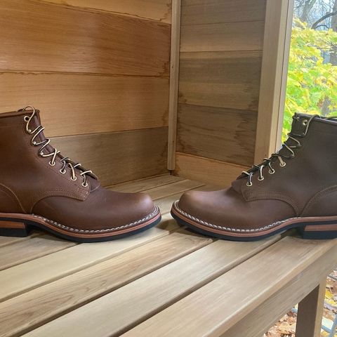 Nicks Robert in Seidel 1964 Brown