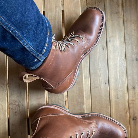 Nicks Robert in Seidel 1964 Brown
