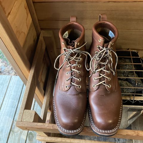 Nicks Robert in Seidel 1964 Brown