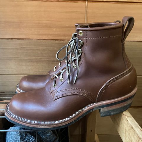 Nicks Robert in Seidel 1964 Brown