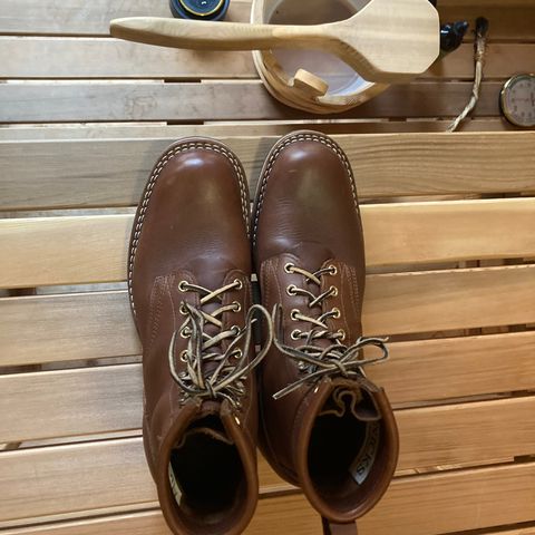 Nicks Robert in Seidel 1964 Brown