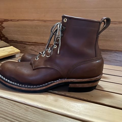 Nicks Robert in Seidel 1964 Brown