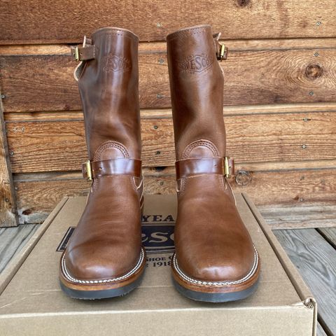 Wesco Mister Lou in Maryam Toscanello TPR Horsebutt