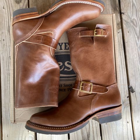 Wesco Mister Lou in Maryam Toscanello TPR Horsebutt