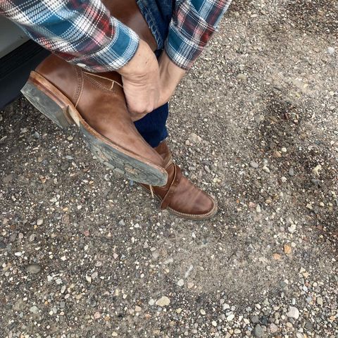 Wesco Mister Lou in Maryam Toscanello TPR Horsebutt