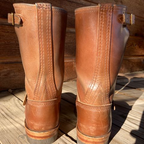 Wesco Mister Lou in Maryam Toscanello TPR Horsebutt
