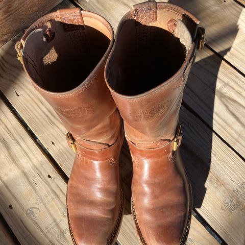 Wesco Mister Lou in Maryam Toscanello TPR Horsebutt
