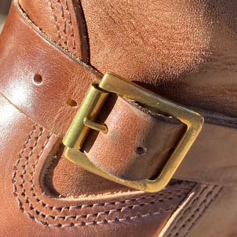 Wesco Mister Lou in Maryam Toscanello TPR Horsebutt
