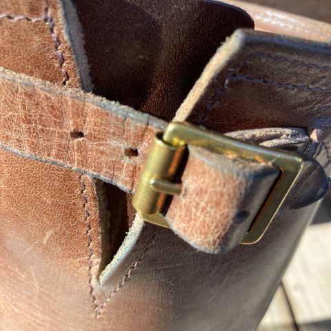 Wesco Mister Lou in Maryam Toscanello TPR Horsebutt