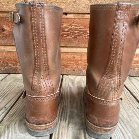 Wesco Mister Lou in Maryam Toscanello TPR Horsebutt