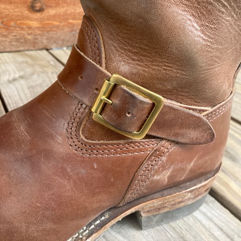 Wesco Mister Lou in Maryam Toscanello TPR Horsebutt