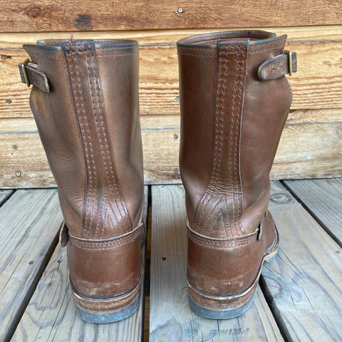 Wesco Mister Lou in Maryam Toscanello TPR Horsebutt