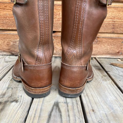 Wesco Mister Lou in Maryam Toscanello TPR Horsebutt
