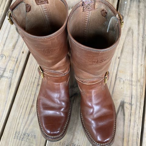 Wesco Mister Lou in Maryam Toscanello TPR Horsebutt