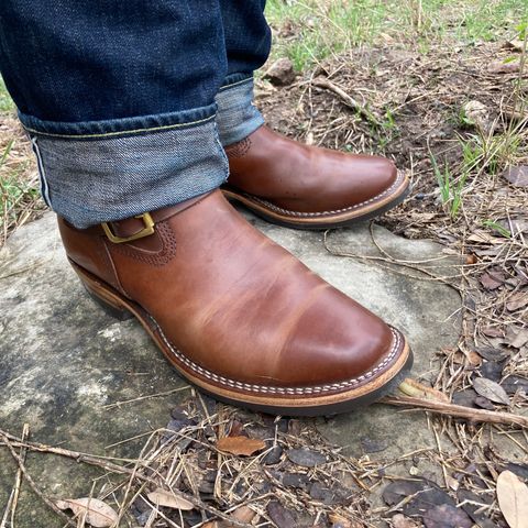 Wesco Mister Lou in Maryam Toscanello TPR Horsebutt