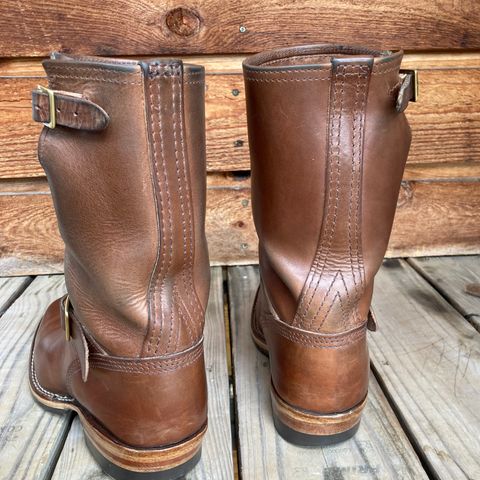 Wesco Mister Lou in Maryam Toscanello TPR Horsebutt
