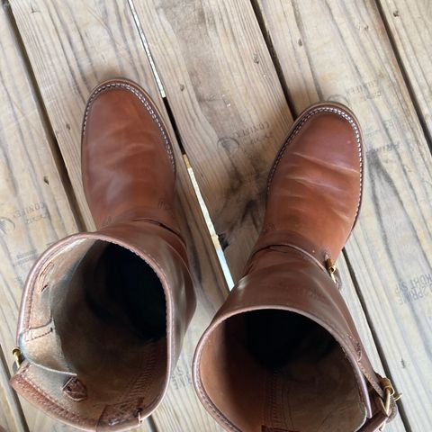 Wesco Mister Lou in Maryam Toscanello TPR Horsebutt
