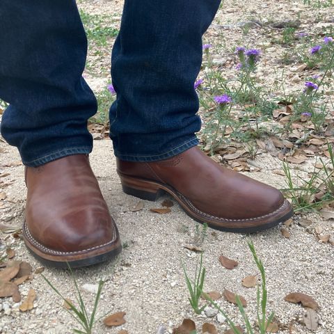 Wesco Mister Lou in Maryam Toscanello TPR Horsebutt