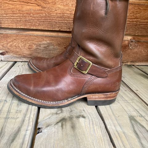 Wesco Mister Lou in Maryam Toscanello TPR Horsebutt
