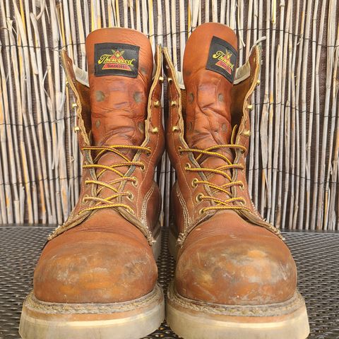 Thorogood 8" Plain Toe in Tobacco Gladiator Oil-Tanned
