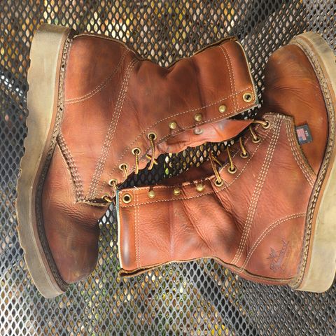 Thorogood 8" Plain Toe in Tobacco Gladiator Oil-Tanned